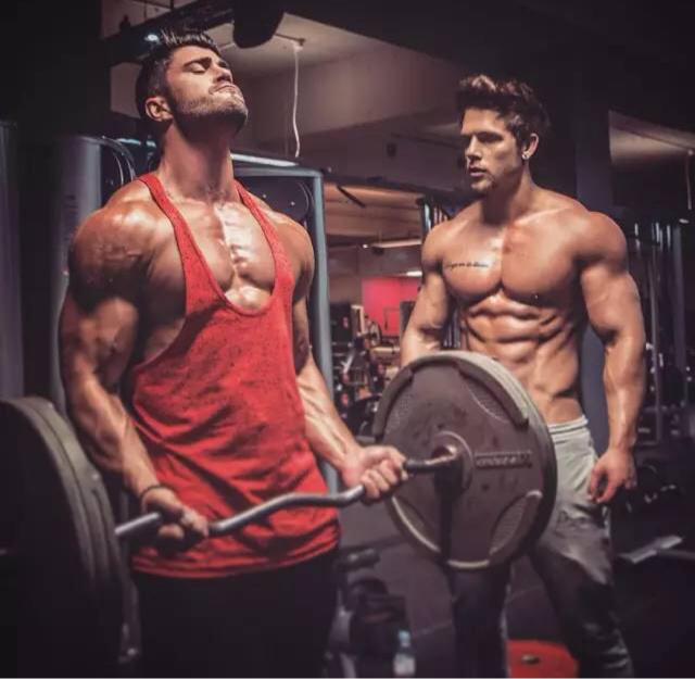 健身如何吃，增肌减脂如何补充蛋白质？图1