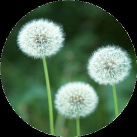 &ldquo;japan&rdquo;竟然不是&ldquo;日本&rdquo;!那是什么意思?图1