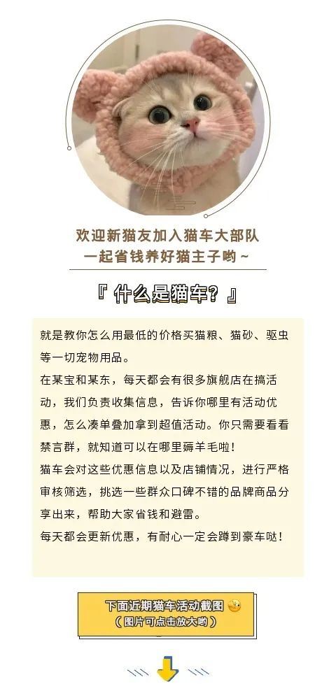 皇家猫粮国产猫咪出现呕吐、拉稀怎么回事?兽医:这7个原因图1