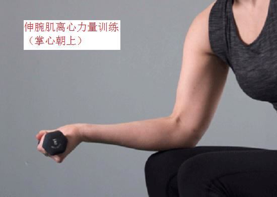 抗阻力运动 抗阻力运动