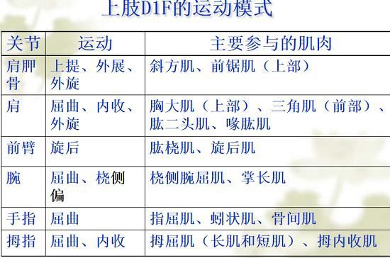 PNF的运动模式 PNF的运动模式