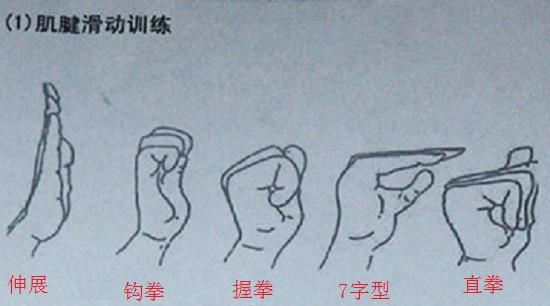 肌腱滑动训练 肌腱滑动训练
