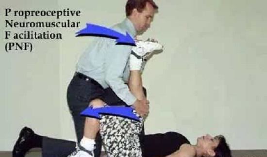 PNF放松技术 PNF放松技术