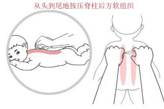 脊柱后方软组织的按压
