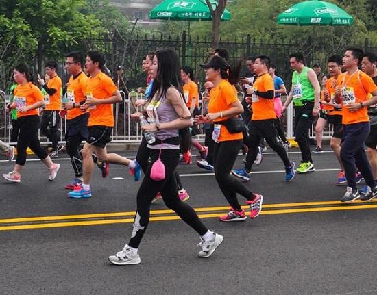 有氧运动的功能、适应证和禁忌证(白菊花与黄菊花)图1