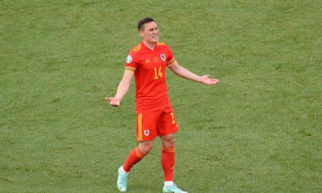 威尔士世界杯预选赛成绩(威尔士 世预赛)