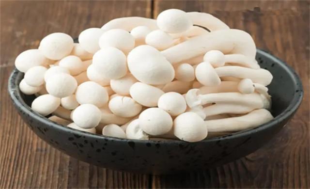 白云菇有什么营养价值