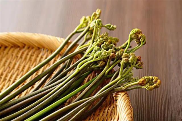 蕨菜有什么营养价值(蕨菜的好处有哪些) 图