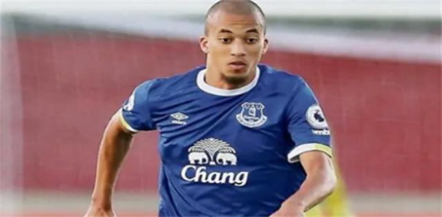 英超足球队(参加最高等级职业足球联赛的球队)