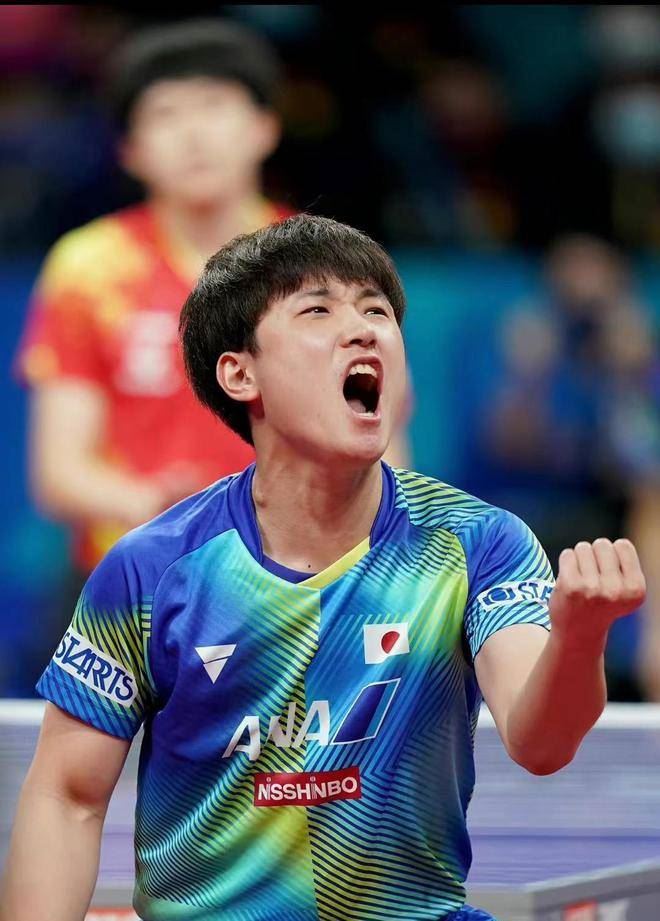 内战王、全运会亚军刘丁硕退出两项大赛！林诗栋夺冠的机图1