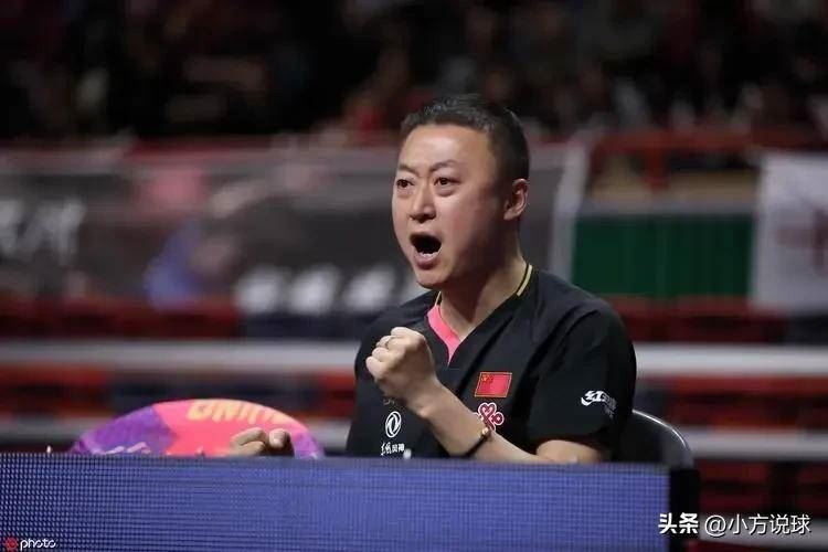 发现现在被反对的国乒教练，都有一个共同的地方(国乒教练图1