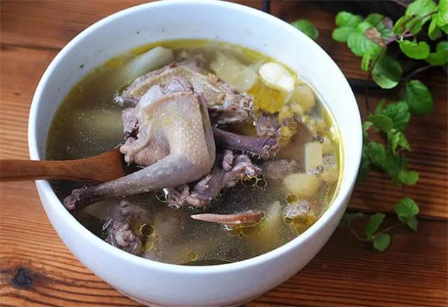 鸽子汤的做法及功效