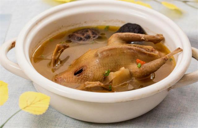 鸽子汤的做法及功效