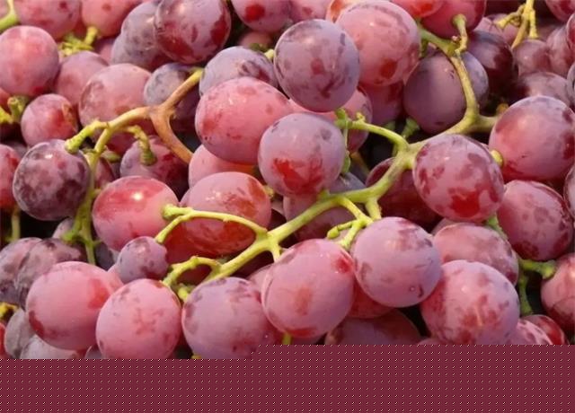 银川有哪些特产 宁夏银川的特产