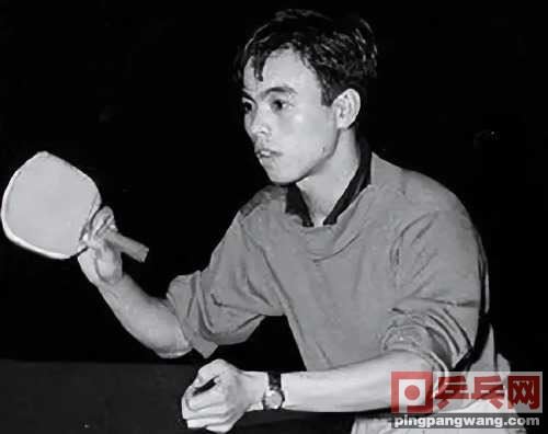 日本乒坛真热闹！去年972人报名全锦赛，今年至少447位选图1