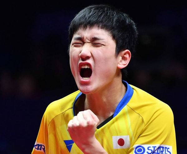 张本智和体会马龙樊振东处境，输球得到肯定，兼三项威胁图1