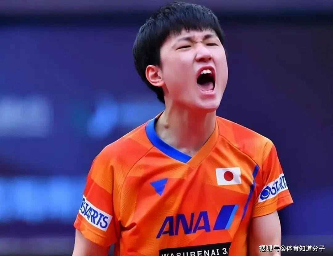 日本再出天才少年！9岁和11岁双星挑战国乒，犀利球风强势图1