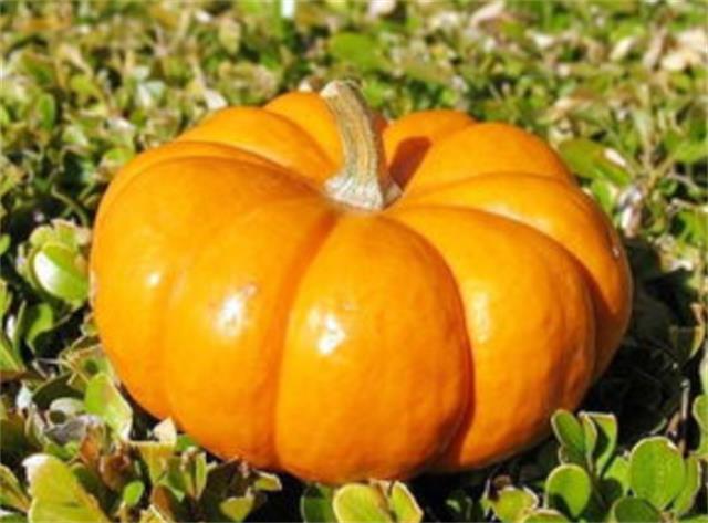 南瓜皮厚又硬不好去皮，教你好方法(南瓜皮太硬了用什么剥