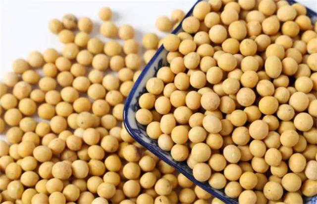 ?干豆和湿豆哪个打豆浆好 破壁机打豆浆多长时间