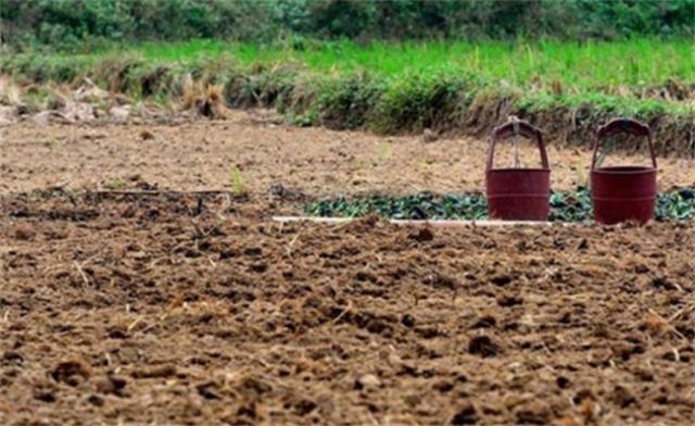 兄弟俩辞职回家种地年营收1亿 种地究竟赚钱吗？