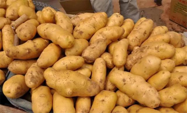 ?土豆对人体有什么益处 土豆的热量高不高