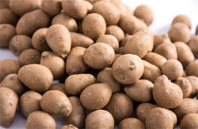 ?山药豆是从山药上摘下来的吗