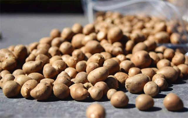 ?山药豆是从山药上摘下来的吗