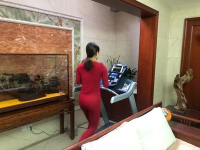 precor必确trm9.27静音家用跑步机怎样?真实调查报告，不看后悔